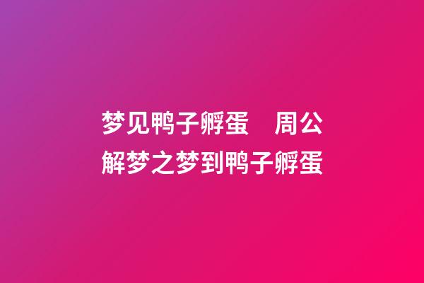 梦见鸭子孵蛋　周公解梦之梦到鸭子孵蛋